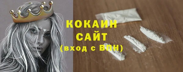 индика Березники