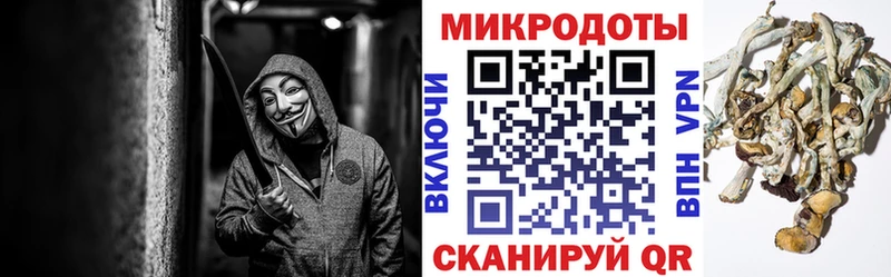 Галлюциногенные грибы мухоморы  маркетплейс состав  Белоозёрский  даркнет сайт  MEGA зеркало 